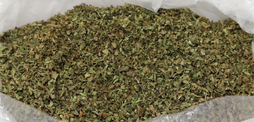 Minneapolis Minnesota Flowers